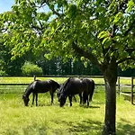 Wohnen Auf Dem Ponyhof