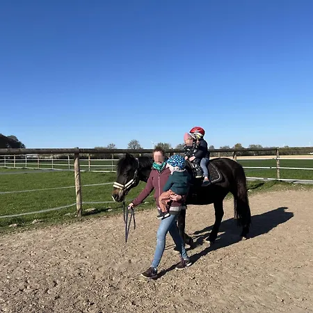 Wohnen Auf Dem Ponyhof Laer