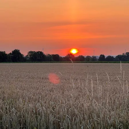 Апартаменты Wohnen Auf Dem Ponyhof Laer