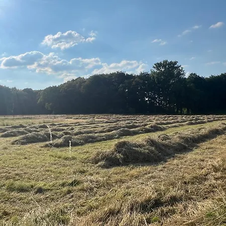 Wohnen Auf Dem Ponyhof Appartement *