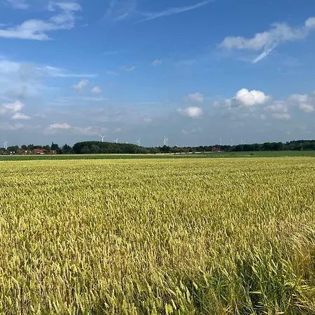 Apartment Dorfblick Auf Dem Ponyhof Laer