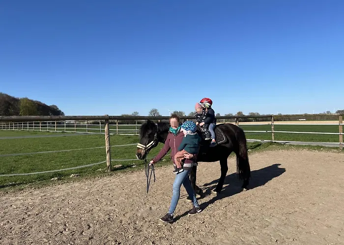 Wohnen Auf Dem Ponyhof Laer