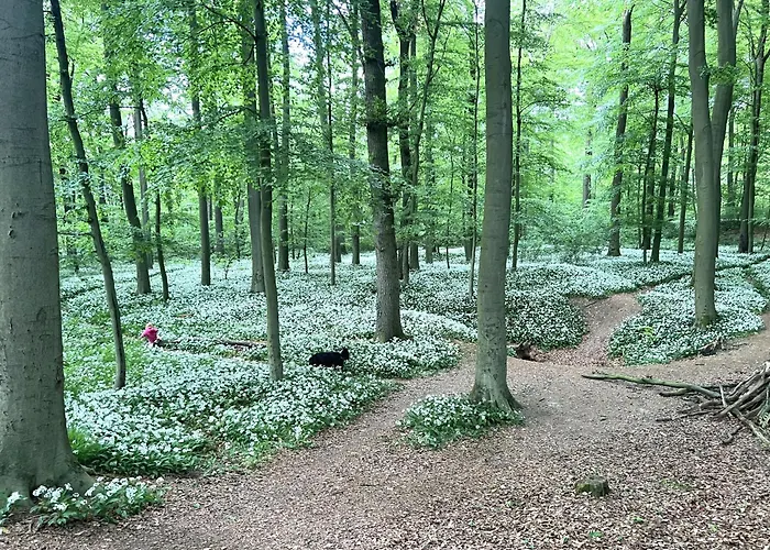 Wohnen Auf Dem Ponyhof *