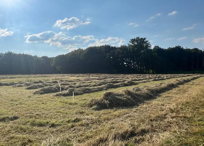 Wohnen Auf Dem Ponyhof Апартаменты *