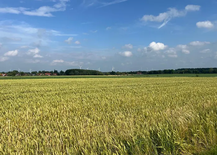 Lägenhet Wohnen Auf Dem Ponyhof Laer