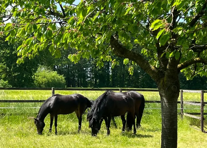 Wohnen Auf Dem Ponyhof